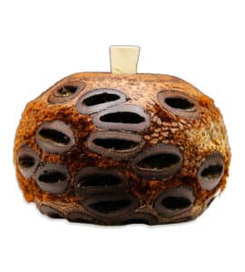 Banksia Aroma Pod