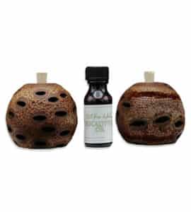 Double Banksia Gift Set